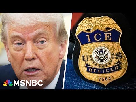 Thumbnail for 'You could hear the slam': Journalist shoved to ground by ICE at immigration court