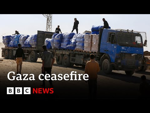 Thumbnail for Seven Palestinians killed by Israeli forces in Gaza, Palestinian Civil Defence says | BBC News