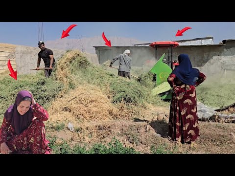 Thumbnail for Family challenges in agriculture: A study of second spouse conflicts in alfalfa fields