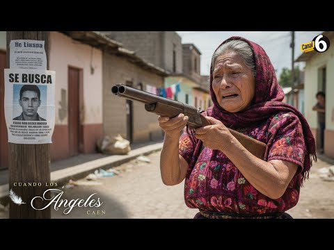 Thumbnail for Le quitaron a su nieto a una abuelita sin imaginar lo que haría