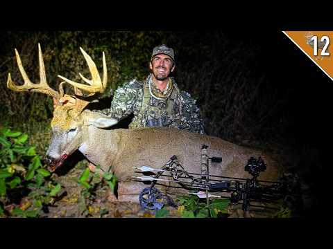 Thumbnail for We Were Just Doe Hunting... Then THIS 12 Point Showed Up!