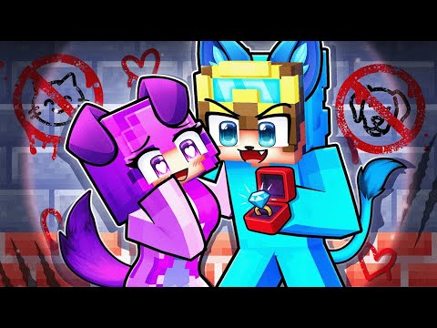 Thumbnail for CAT and DOG FORBIDDEN MARRIAGE in Minecraft!