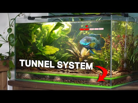 Thumbnail for My Angry Fish Gets His Own Ecosystem (150 day story)