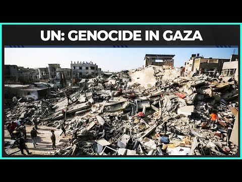 Thumbnail for UN Confirms Genocide — And Israel’s Excuses Collapse