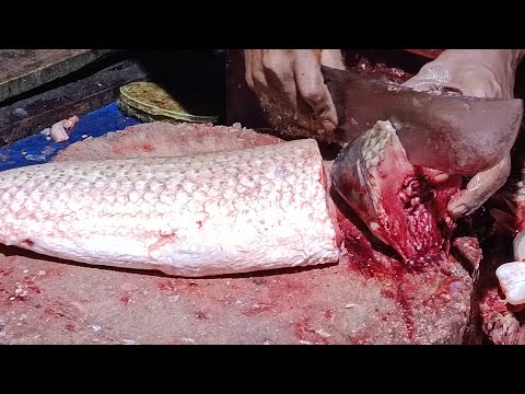 Thumbnail for Uzzal Fish Cutting is live! various types of fish cutting 🐠🐟🐠🐟🐠