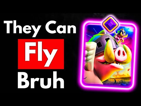 Thumbnail for Royal Hogs Evolution Can FLY and are BROKEN!!