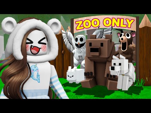 Thumbnail for Ho costuito uno ZOO su 99 notti su roblox!