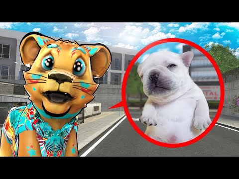 Thumbnail for I LOST PIBBLE IN GMOD!!