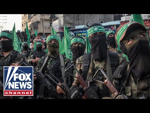 Thumbnail for ‘The signs aren’t good’: National security expert on Hamas’ re-emergence in Gaza