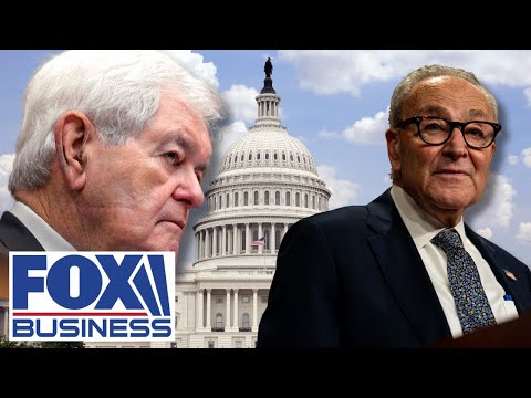 Thumbnail for Newt: Schumer shutdown has become ‘A TRAP’ for Dems