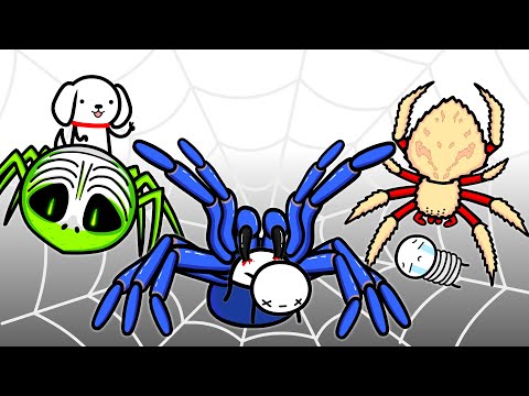 Thumbnail for What It's Like To Fight The Deadliest Spiders (Part 2)