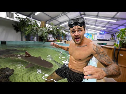 Thumbnail for I Had to do THIS in the SHARK POND!!