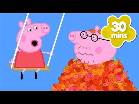 Thumbnail for Daddy Pig FALLS in LEAF Mountain! 🍁 Peppa Learns About Autumn! 🍂 Peppa Pig Full Episodes | 30 Mins