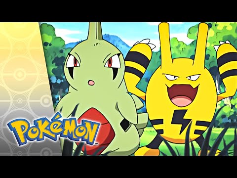Thumbnail for Here's Lookin' at You, Elekid | POKÉMON FULL EPISODE 51 | Season 5