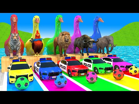 Thumbnail for Long Slide Game With Cow Elephant Gorilla Hippopotamus Tiger - 3d Animal Game - Funny 3d Animals