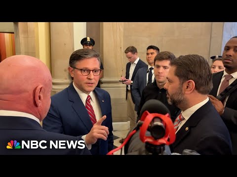 Thumbnail for Johnson and Senate Democrats argue about government shutdown and health care