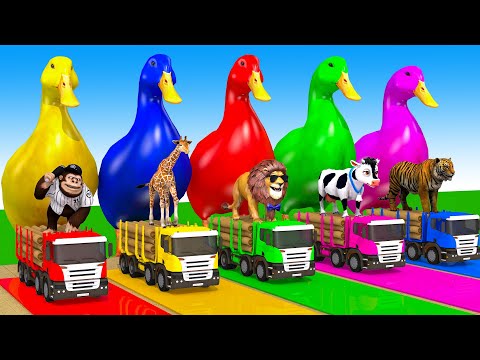 Thumbnail for Long Slide Game With Cow Elephant Gorilla Hippopotamus Tiger 3d Animal Game Funny 3d Animals