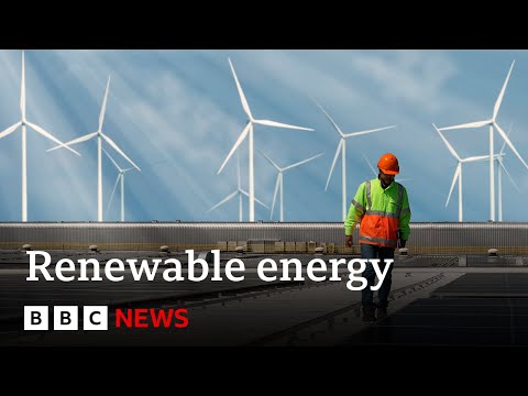 Thumbnail for Renewables overtake coal as world's biggest source of electricity | BBC News