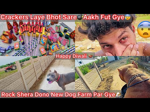 Thumbnail for Diwali K Liya Crackers Shopping💣Aakh Fut Gye😰New Farm Ka Kam Speed Se Chal Rha H😍Rock Shera Dono Gye